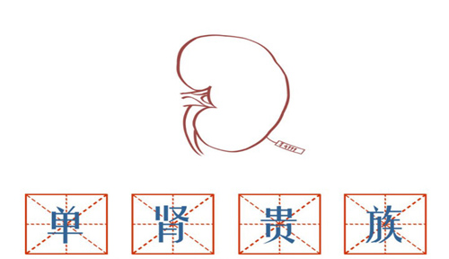单肾是否可以买保险 单肾买保险要告知吗