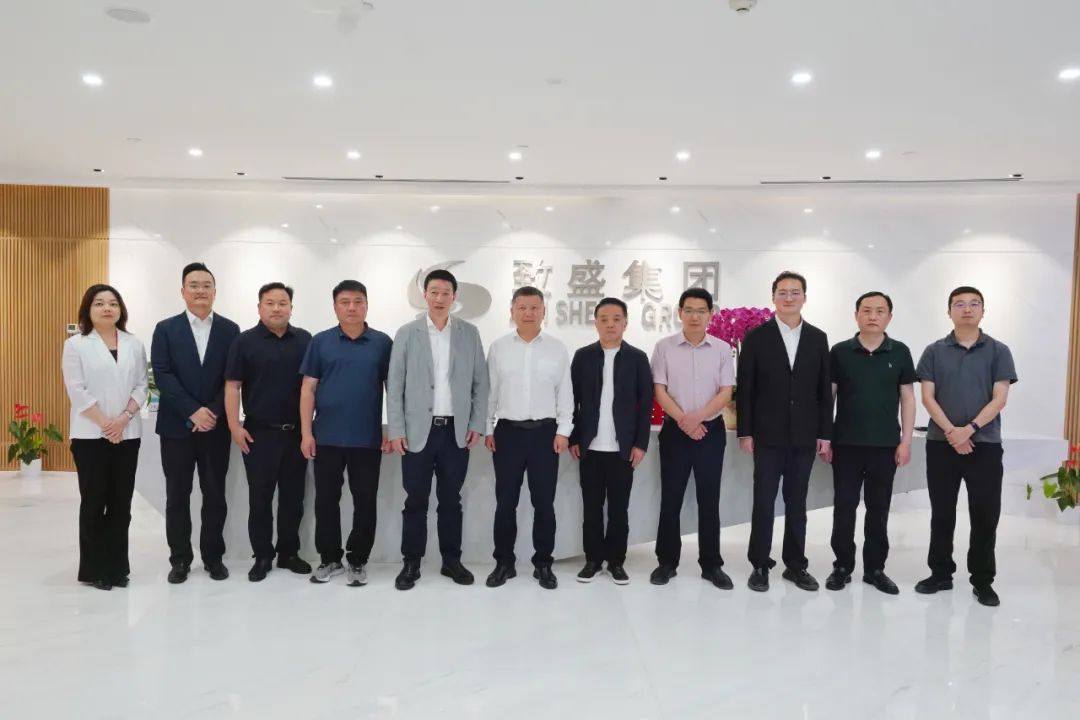 湖北省大冶市委副书记、市长潘小进一行到访致盛集团